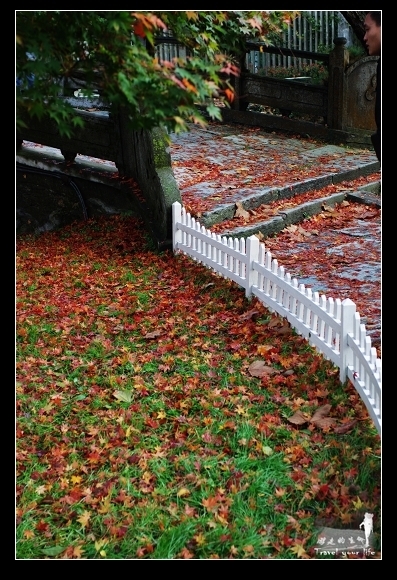 ®ɽ＾ ϸչһ棨Դ ζ ߵ ṩ