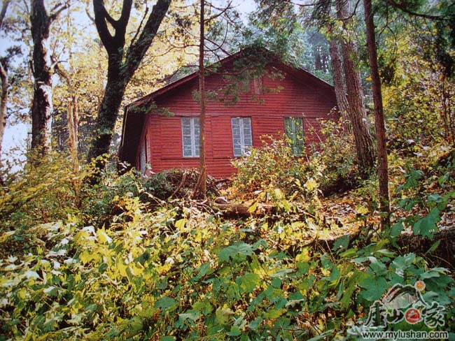 ��ɽ֧��·2��®ɽ����ͼƬ