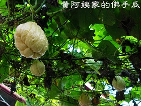 �鿴���ྫ��ͼƬ