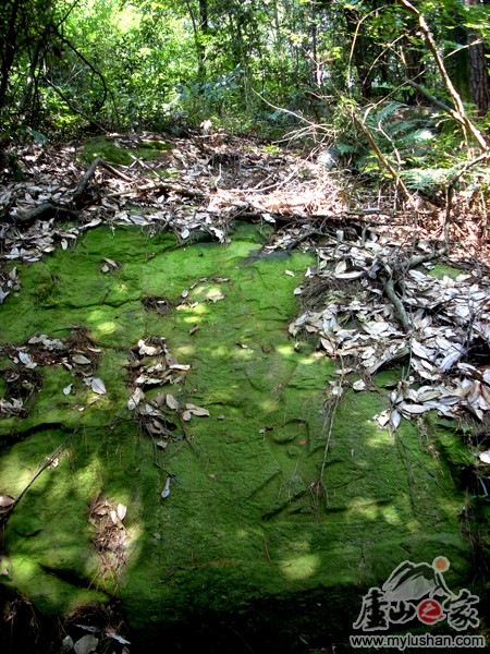 ®ɽ¹ԺʯͼƬ㣺®ɽ֮ҡվ