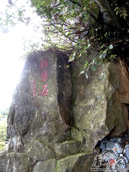 ®ɽʯ˶ʯͼƬ-ҩʯ㣺®ɽ֮ҡվ