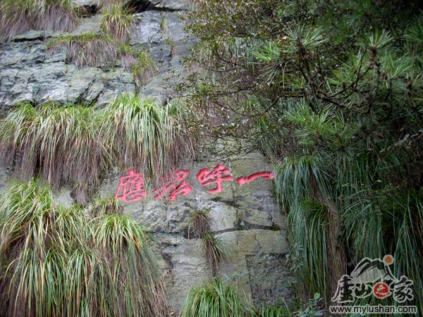 ®ɽʯ˶ʯͼƬ-һӦ㣺®ɽ֮ҡվ