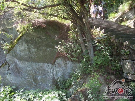 ®ɽʯͼƬ-÷  㣺®ɽ֮ վ