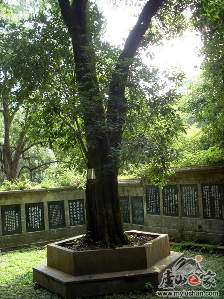 ®ɽʯͼƬ-˫   㣺®ɽ֮ վ