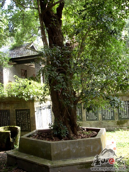 ®ɽʯͼƬ-˫   㣺®ɽ֮ վ