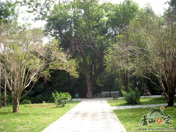 ®ɽʯͼƬ-ĵƷ  㣺®ɽ֮ վ