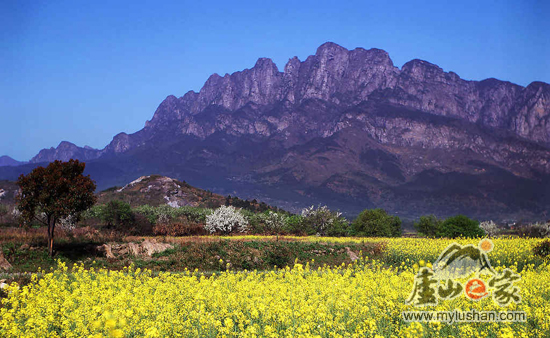 庐山景点介绍:五老峰