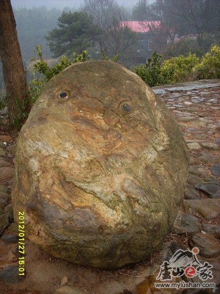 ®ɽʯ̹ʯͼƬ - ʮФʯ㣺®ɽ֮ҡվ